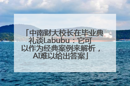 中南财大校长在毕业典礼谈Labubu：它可以作为经典案例来解析，AI难以给出答案