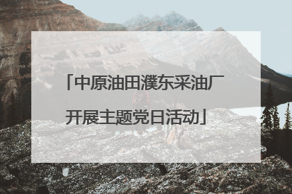中原油田濮东采油厂开展主题党日活动