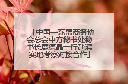 中国—东盟商务协会总会中方秘书处秘书长鹿德晶一行赴滨实地考察对接合作