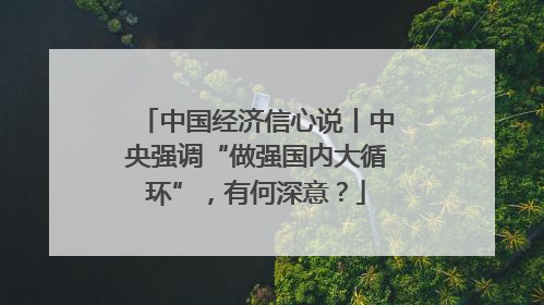 中国经济信心说丨中央强调“做强国内大循环”，有何深意？