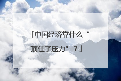中国经济靠什么“顶住了压力”？