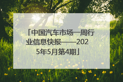 中国汽车市场一周行业信息快报——2025年5月第4期