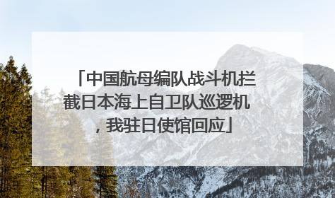 中国航母编队战斗机拦截日本海上自卫队巡逻机，我驻日使馆回应
