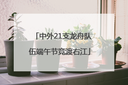 中外21支龙舟队伍端午节竞渡右江