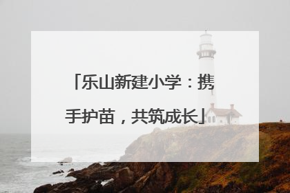 乐山新建小学：携手护苗，共筑成长