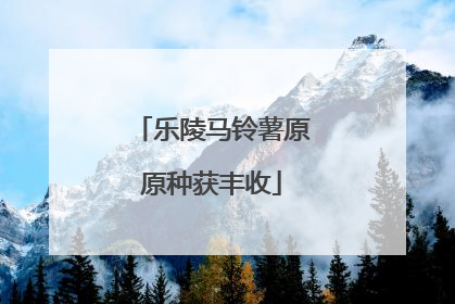 乐陵马铃薯原原种获丰收