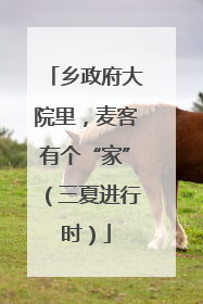 乡政府大院里，麦客有个“家”（三夏进行时）