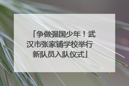 争做强国少年！武汉市张家铺学校举行新队员入队仪式