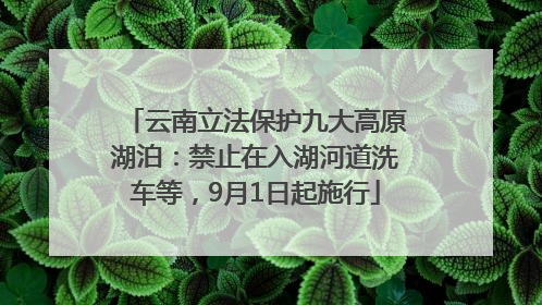 云南立法保护九大高原湖泊：禁止在入湖河道洗车等，9月1日起施行