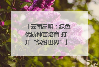 云南嵩明：绿色优质种苗培育 打开“缤纷世界”