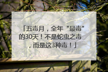 五毒月，全年“最毒”的30天！不是蛇虫之毒，而是这3种毒！