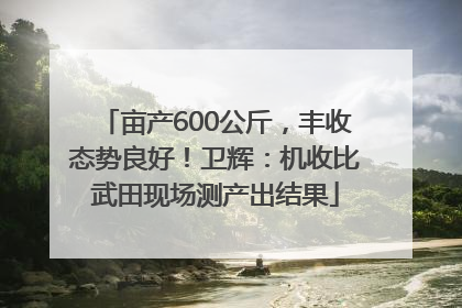 亩产600公斤，丰收态势良好！卫辉：机收比武田现场测产出结果