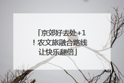 京郊好去处+1！农文旅融合路线让快乐翻倍