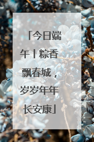 今日端午丨粽香飘春城，岁岁年年长安康