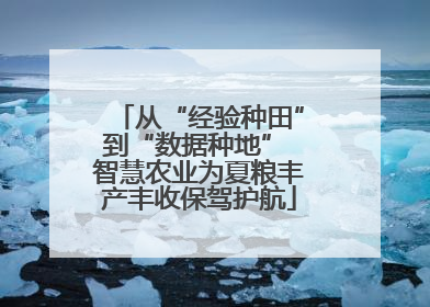从“经验种田”到“数据种地” 智慧农业为夏粮丰产丰收保驾护航
