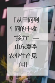 从田间到车间的丰收“接力”——山东夏季农业生产见闻
