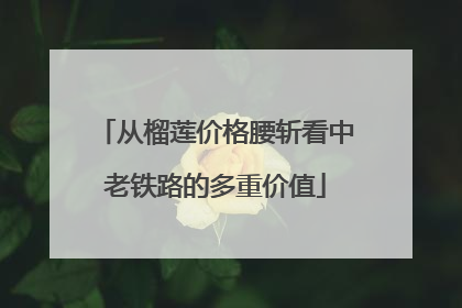 从榴莲价格腰斩看中老铁路的多重价值