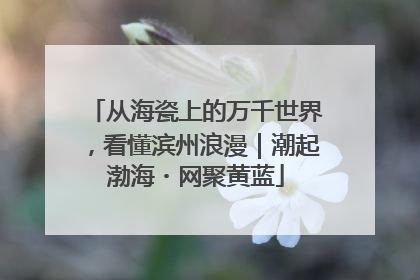 从海瓷上的万千世界，看懂滨州浪漫｜潮起渤海・网聚黄蓝