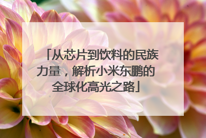 从芯片到饮料的民族力量，解析小米东鹏的全球化高光之路