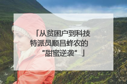 从贫困户到科技特派员顺昌蜂农的“甜蜜逆袭”