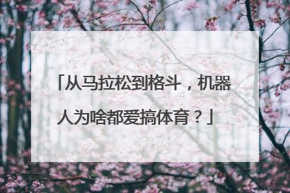 从马拉松到格斗，机器人为啥都爱搞体育？