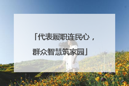 代表履职连民心，群众智慧筑家园
