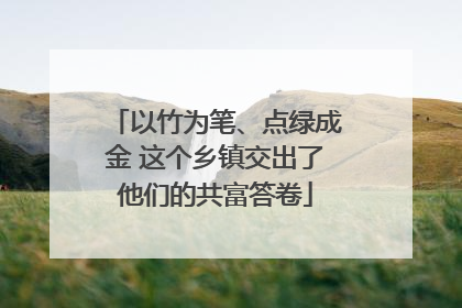 以竹为笔、点绿成金 这个乡镇交出了他们的共富答卷