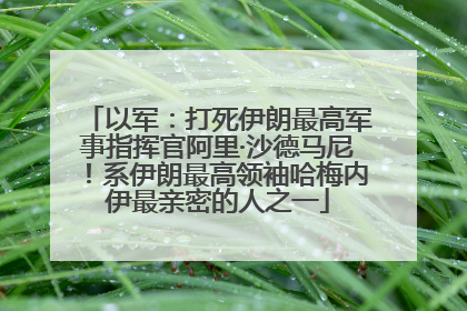 以军：打死伊朗最高军事指挥官阿里·沙德马尼！系伊朗最高领袖哈梅内伊最亲密的人之一