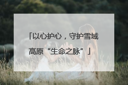 以心护心，守护雪域高原“生命之脉”