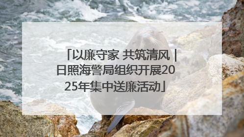 以廉守家 共筑清风｜日照海警局组织开展2025年集中送廉活动
