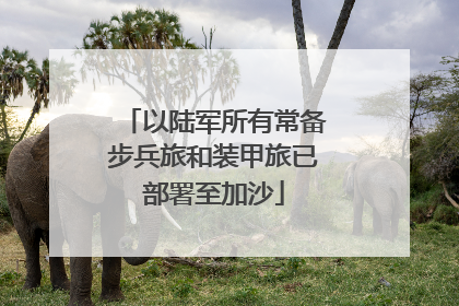 以陆军所有常备步兵旅和装甲旅已部署至加沙