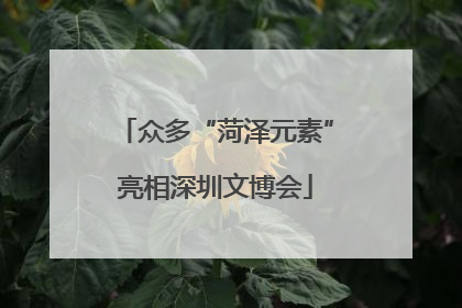 众多“菏泽元素”亮相深圳文博会