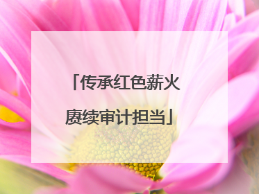 传承红色薪火 赓续审计担当
