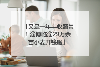 又是一年丰收盛景！淄博临淄29万余亩小麦开镰啦