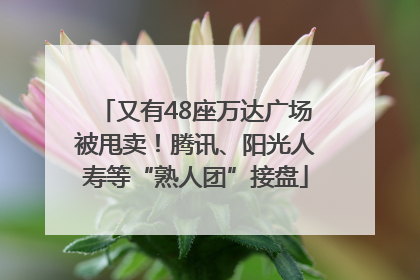 又有48座万达广场被甩卖！腾讯、阳光人寿等“熟人团”接盘