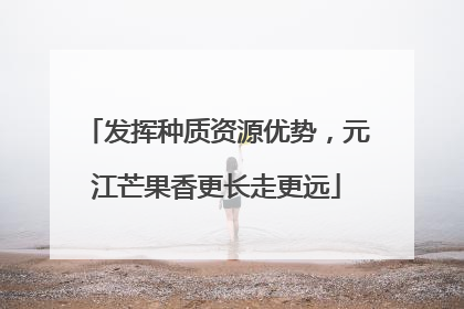 发挥种质资源优势，元江芒果香更长走更远