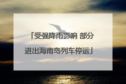 受强降雨影响 部分进出海南岛列车停运