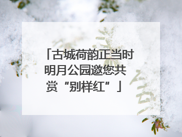 古城荷韵正当时 明月公园邀您共赏“别样红”