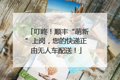 叮咚！顺丰“萌新”上岗，您的快递正由无人车配送！