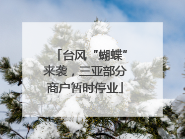 台风“蝴蝶”来袭，三亚部分商户暂时停业