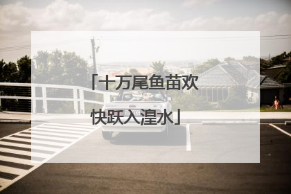 十万尾鱼苗欢快跃入湟水