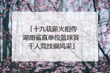 十九载薪火相传 湖南省直单位篮球赛千人竞技展风采
