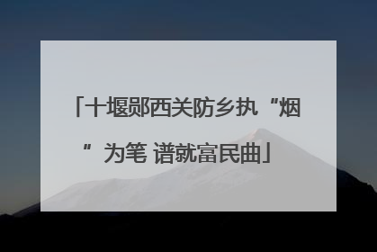 十堰郧西关防乡执“烟”为笔 谱就富民曲