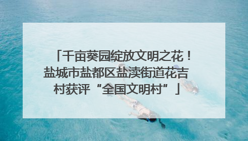 千亩葵园绽放文明之花！盐城市盐都区盐渎街道花吉村获评“全国文明村”