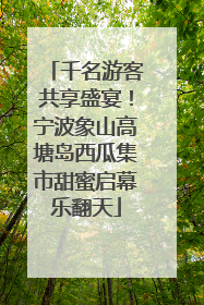 千名游客共享盛宴！宁波象山高塘岛西瓜集市甜蜜启幕乐翻天