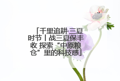 千里追耕·三夏时节丨战三夏保丰收 探索“中原粮仓”里的科技感
