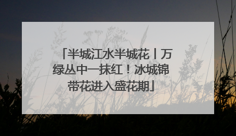 半城江水半城花丨万绿丛中一抹红！冰城锦带花进入盛花期