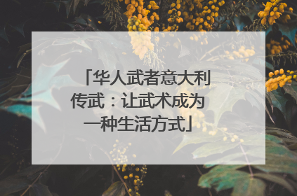 华人武者意大利传武：让武术成为一种生活方式