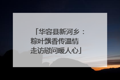 华容县新河乡：粽叶飘香传温情 走访慰问暖人心