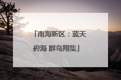 南海新区：蓝天碧海 群鸟翔集